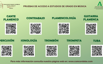 CITACIONES PRUEBAS DE ACCESO (CURSO 2024/25)