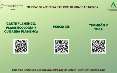 CITACIONES PRUEBAS DE ACCESO EXTRAORDINARIAS (CURSO 2024/25)